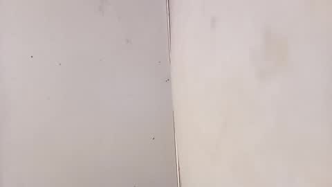 tall6feet7inch online show from February 3, 7:13 am