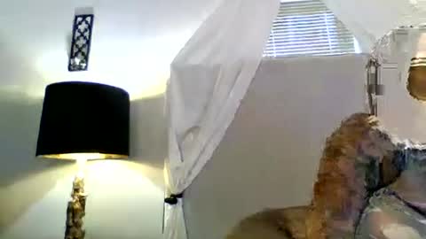 Snapshot of tammygold chatting on June 23, 7:23 pm Tammygold online show from June 23, 7:23 pm