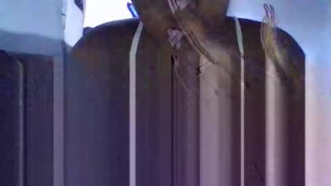 Snapshot of tanaya1 chatting on October 10, 5:28 am Tanaya1 online show from October 10, 5:28 am