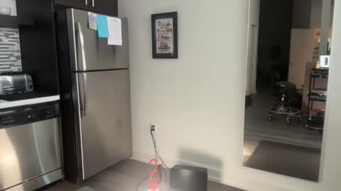 taranyc online show from December 14, 7:07 pm