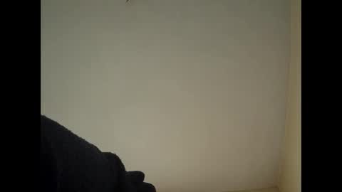 Beliqnegar online show from February 14, 7:49 am