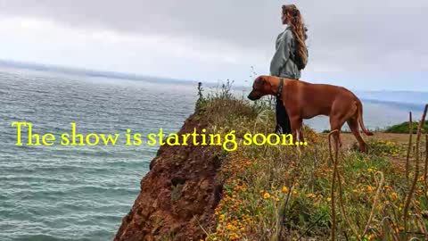 TATUM  ALL MY LINKS  online show from November 9, 10:08 pm