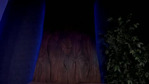 Taylor  Help me to get 100 thumbs up online show from December 7, 2:24 pm