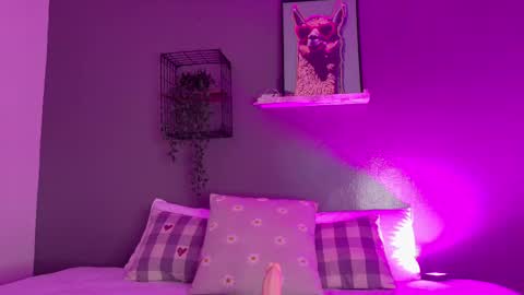 TAYLOR  online show from November 18, 11:47 am