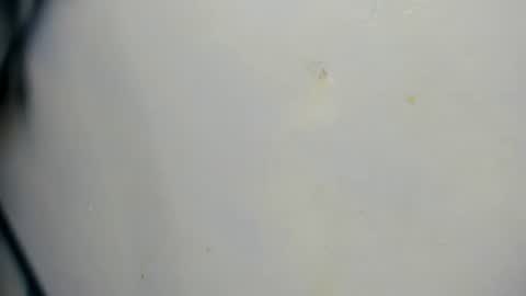 Snapshot of taz_box chatting on June 21, 11:51 pm taz_box online show from June 21, 11:51 pm