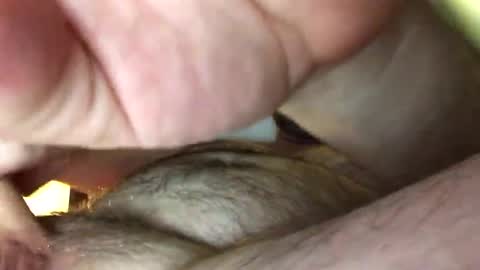 Tbiz82 online show from February 27, 5:24 am