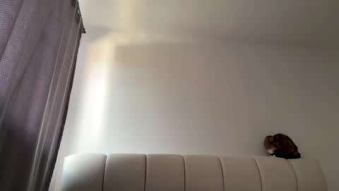 Amy No penetration Virgiin giirl online show from April 10, 1:05 pm