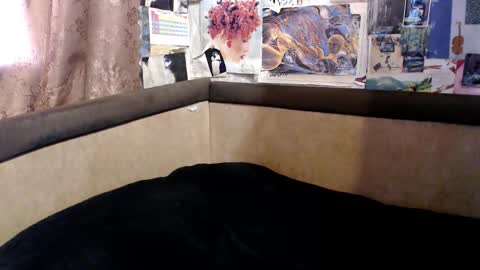 ruth online show from October 18, 2:07 pm