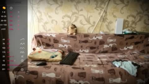 Ada  online show from January 10, 1:24 pm