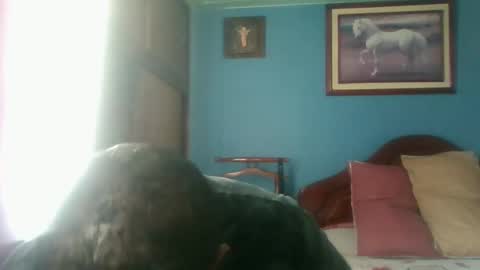 Fabio Canavaro online show from January 3, 4:59 pm