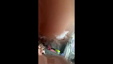 teslajustdoit online show from March 3, 9:10 pm