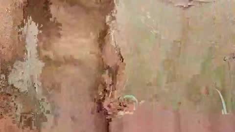 Snapshot of the1st_play_girl chatting on December 30, 6:27 pm the1st_play_girl online show from December 30, 6:27 pm