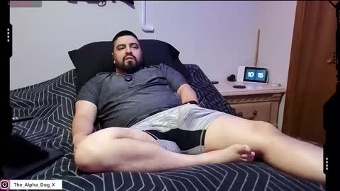 the_alpha_dog_xxx online show from November 17, 4:13 pm