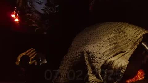 GIORGGIO online show from February 7, 3:30 pm