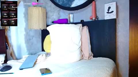 the dog lian online show from November 9, 2:21 am