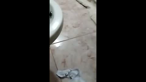 Snapshot of thedo121111 chatting on October 1, 1:17 pm thedo121111 online show from October 1, 1:17 pm