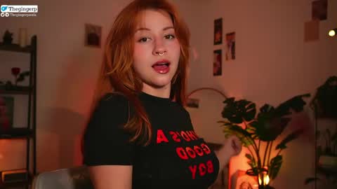 Snapshot of thegingerp chatting on April 27, 10:41 pm Streaming mostly at online show from April 27, 10:41 pm