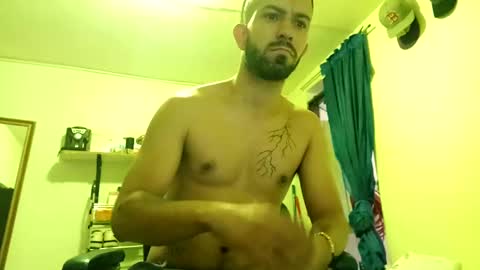 thehousedog online show from February 18, 2:49 pm