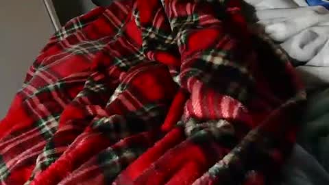 Snapshot of thejerk1974 chatting on March 23, 8:35 pm Liam online show from March 23, 8:35 pm