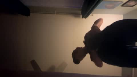 theonlyboi43ver online show from January 2, 1:49 am