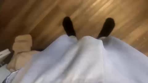 theplummer99 online show from October 11, 1:53 pm