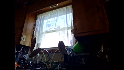 therizzler_1_of_1 online show from September 11, 6:30 pm