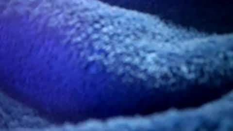 that would be telling online show from February 16, 1:18 pm