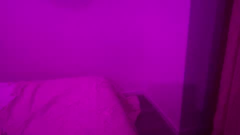 The Wild Wonderland online show from January 8, 2:14 am