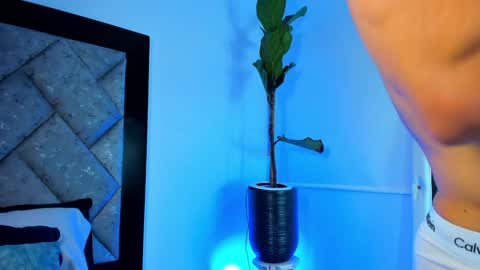 thiago online show from December 29, 4:27 am