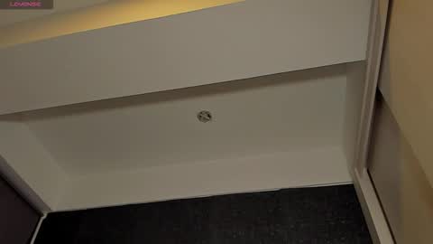 THIAGO MENESES online show from January 15, 3:11 am