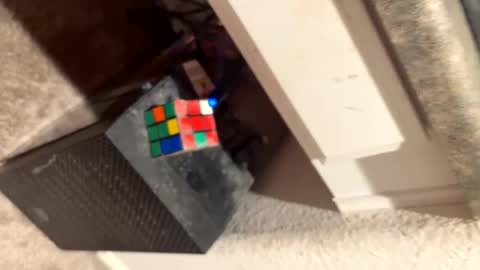 Thiccccc online show from March 6, 8:08 am