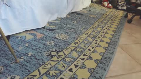 Snapshot of thongmuscle chatting on February 27, 1:49 pm ThongMuscle online show from February 27, 1:49 pm