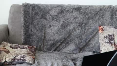 Snapshot of thorclarck_ chatting on January 8, 5:26 pm Sebastian online show from January 8, 5:26 pm