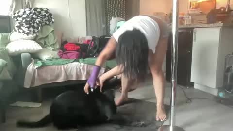 Snapshot of throatyygoat chatting on September 18, 8:33 pm throatyygoat online show from September 18, 8:33 pm