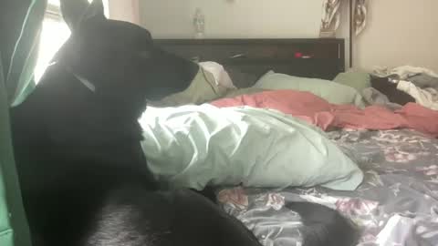 Snapshot of throatyygoat chatting on September 21, 6:53 pm throatyygoat online show from September 21, 6:53 pm