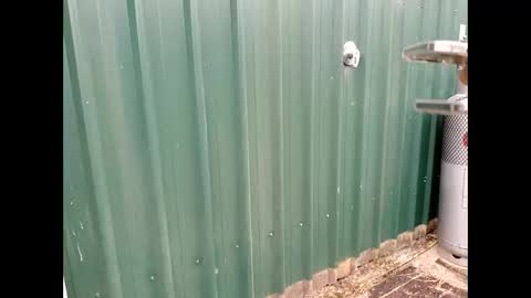 throbmasterr online show from September 12, 9:48 pm