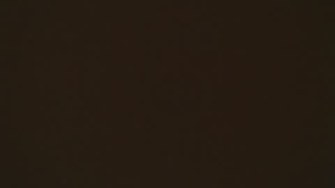 LIA online show from April 2, 2:15 pm