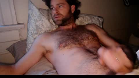 tigerzaddy online show from February 2, 2:16 pm