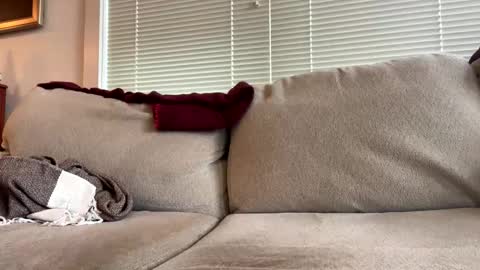 time4fun8837 online show from February 15, 7:32 pm