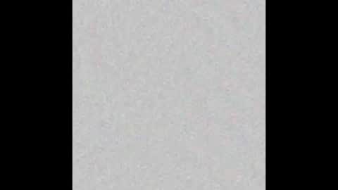 TimLooking online show from February 17, 10:07 am