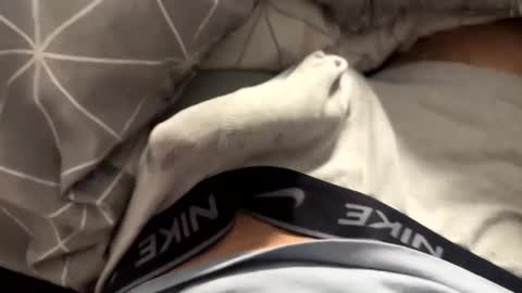 Timur online show from April 4, 10:07 pm