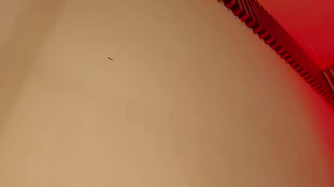 Tina  online show from September 29, 5:01 am