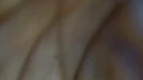 tinagiant online show from January 11, 4:45 pm