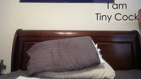 tinycock_1979 online show from February 20, 2:35 pm