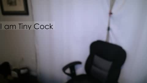 tinycock_1979 online show from November 8, 12:22 am