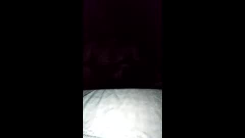 Snapshot of tiqueb69 chatting on February 10, 7:34 am tiqueb69 online show from February 10, 7:34 am