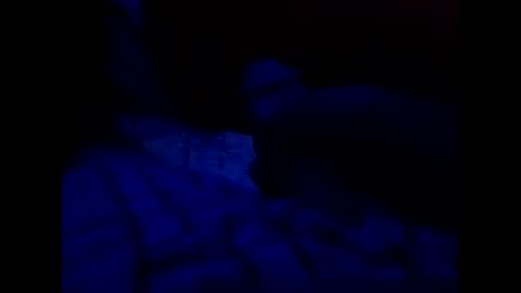 Snapshot of tixzle chatting on March 31, 7:36 pm tixzle online show from March 31, 7:36 pm