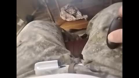 Snapshot of tjllagwbggrr chatting on February 3, 5:16 am tjllagwbggrr online show from February 3, 5:16 am