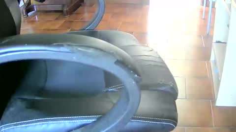 Tobiko online show from April 26, 2:26 pm