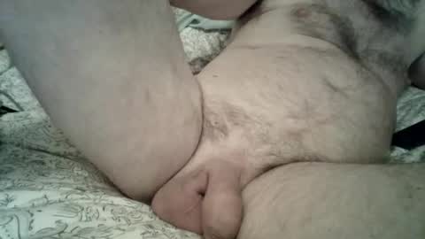 toddbells online show from February 13, 3:19 pm